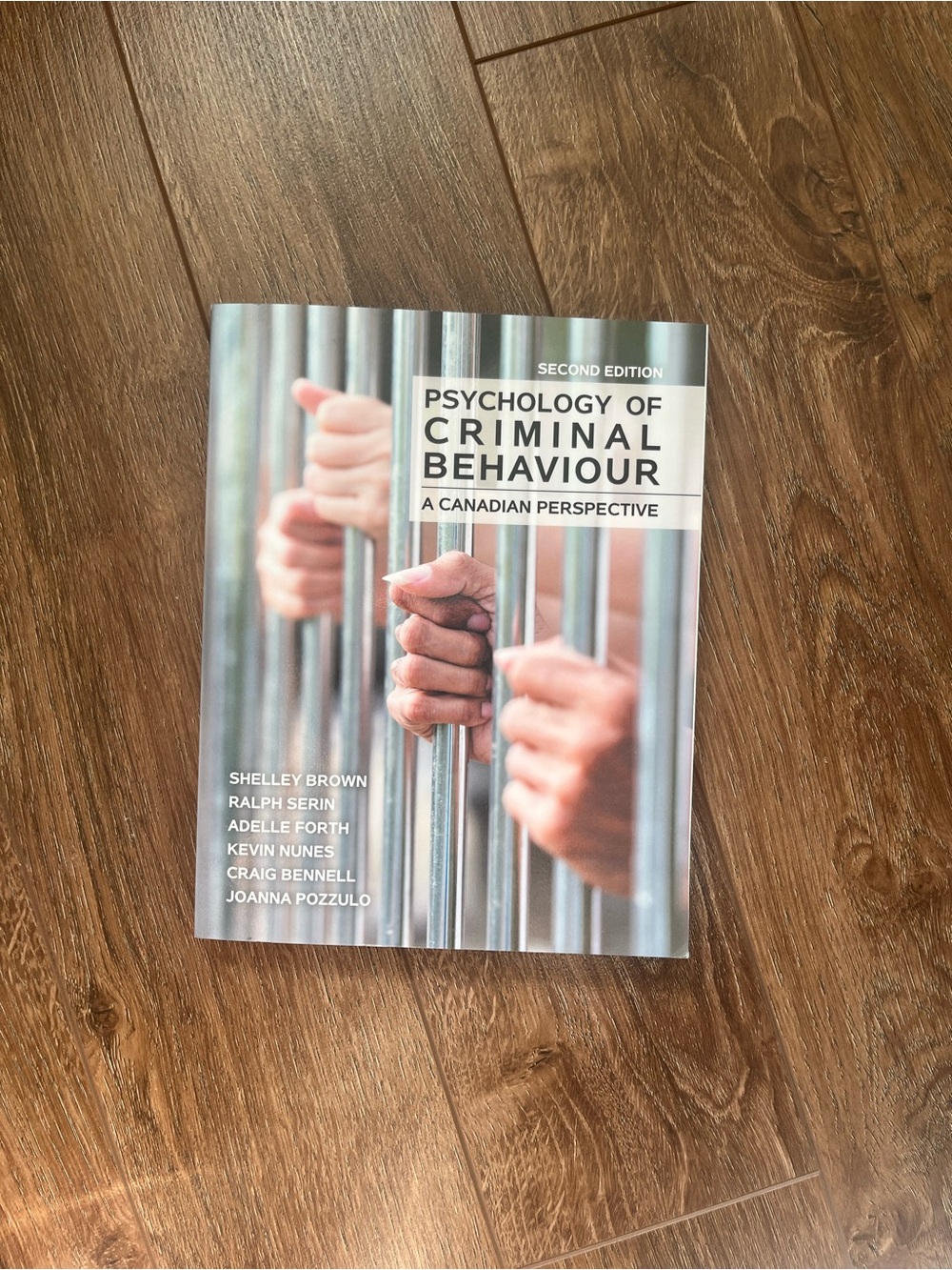 Psychology of Criminal Behaviour (Second Edition) - Gray/White Cover
